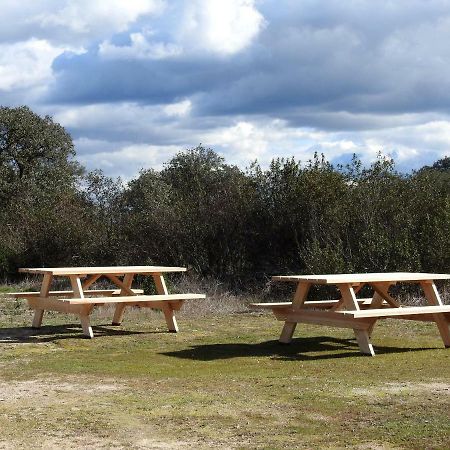 Bubulcus And Bolotas - Off Grid Nature Holiday Home Vimieiro  Экстерьер фото