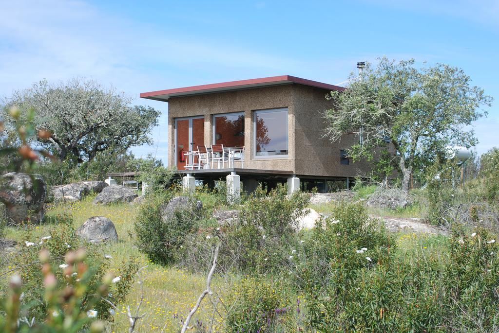 Bubulcus And Bolotas - Off Grid Nature Holiday Home Vimieiro  Экстерьер фото