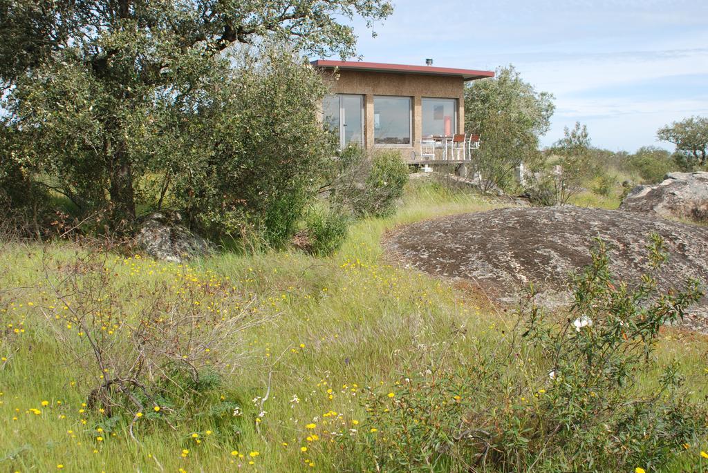 Bubulcus And Bolotas - Off Grid Nature Holiday Home Vimieiro  Экстерьер фото