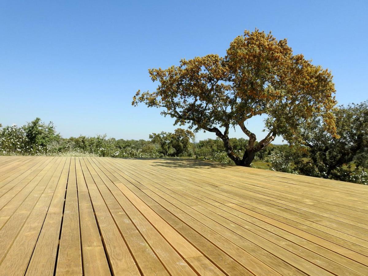 Bubulcus And Bolotas - Off Grid Nature Holiday Home Vimieiro  Экстерьер фото
